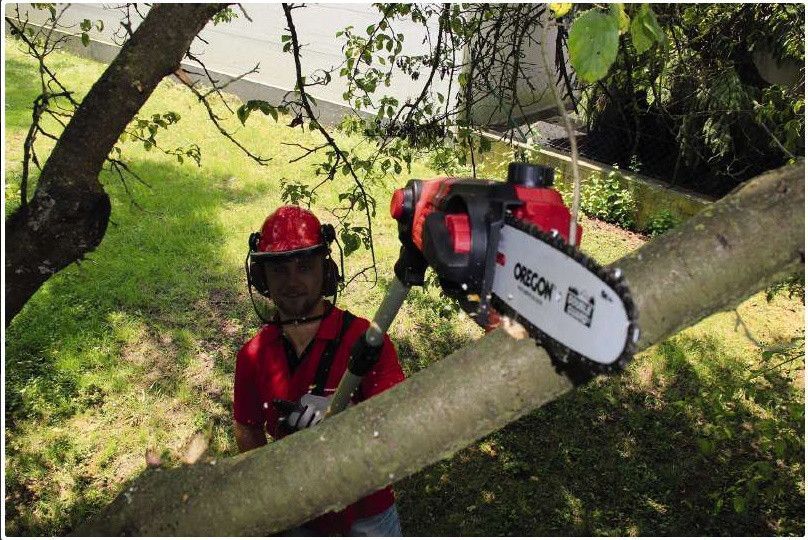 Висоторіз акумуляторний Einhell GE-LC 18 LI T Solo (3410810)_ BR 3410810 фото